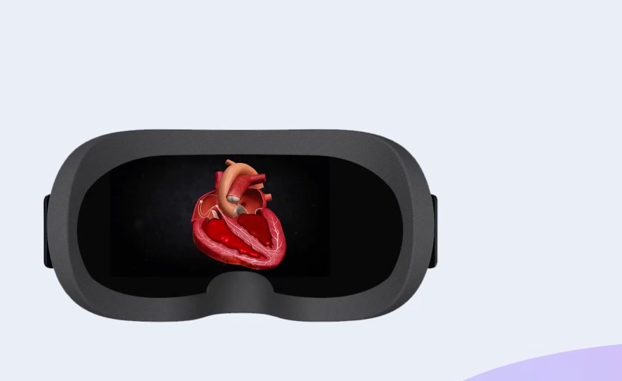 A 3D interactive heart model viewed through a Umety VR headset