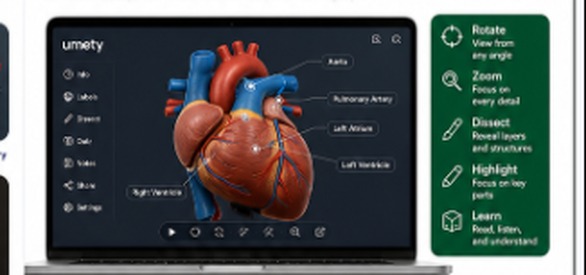 A laptop displaying an interactive 3D heart model with labeled parts and a Rotate, Zoom, Dissect, Highlight and Learn control panel